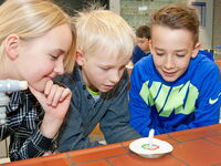 SchülerInnen schauen neugierig auf ihr Experiment.